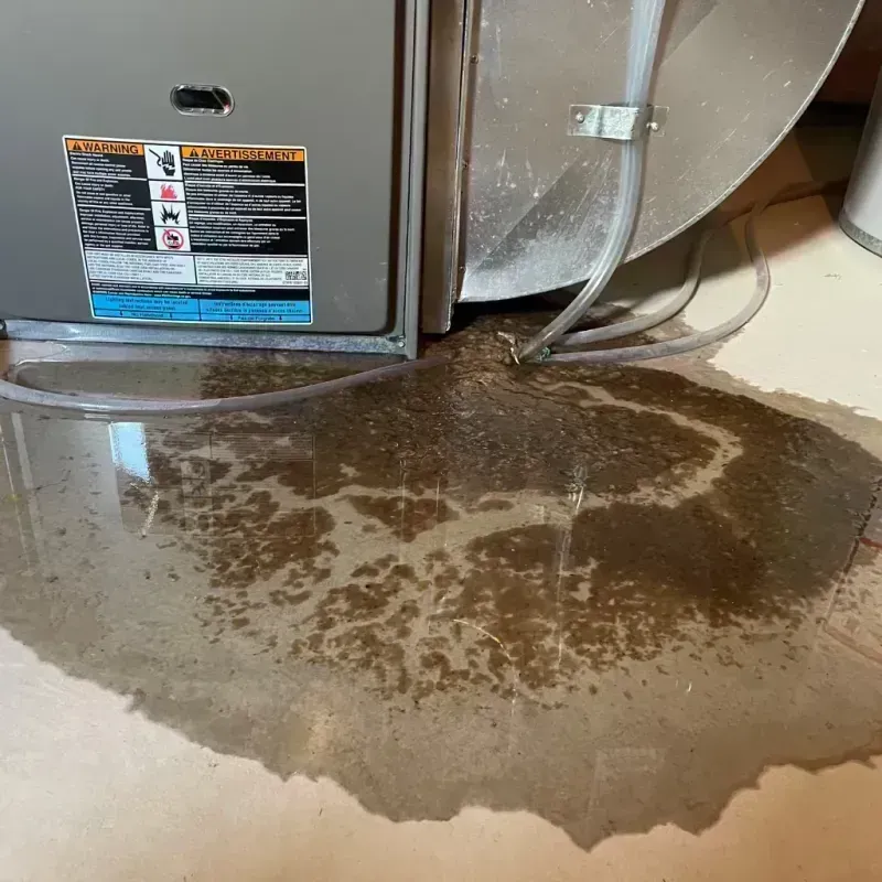 Appliance Leak Cleanup in Pullman, WA